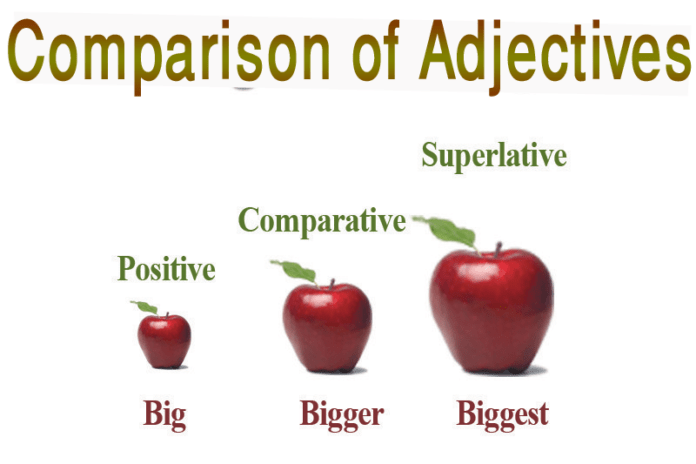 Comparison of Adjectives