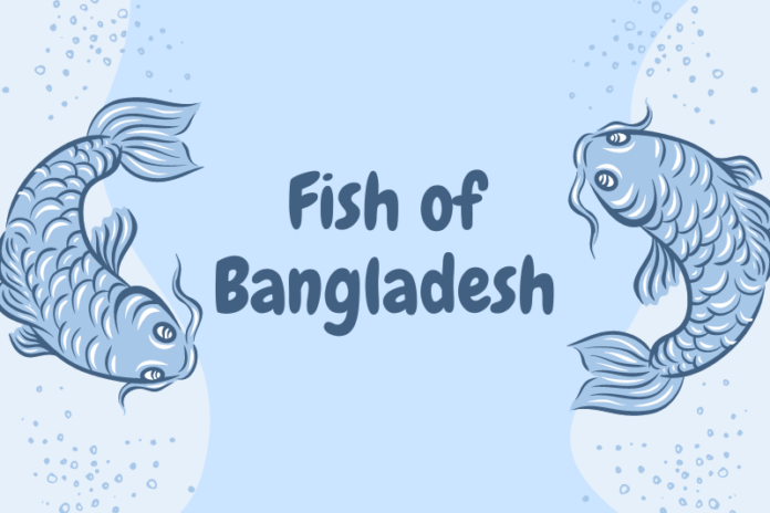 fish_of_Bangladesh