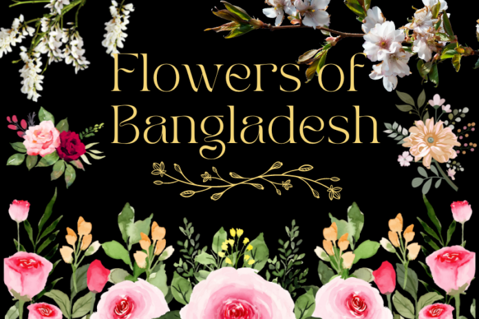 Flowers of Bangladesh