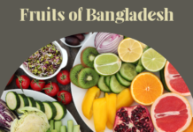 Fruits of Bangladesh: Exploring the Bounty